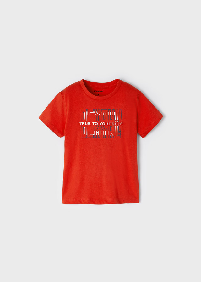 Camiseta básica 5  